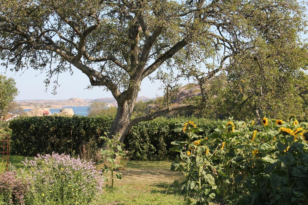 Ramsviks Overgard Pansiyon Hunnebostrand Dış mekan fotoğraf