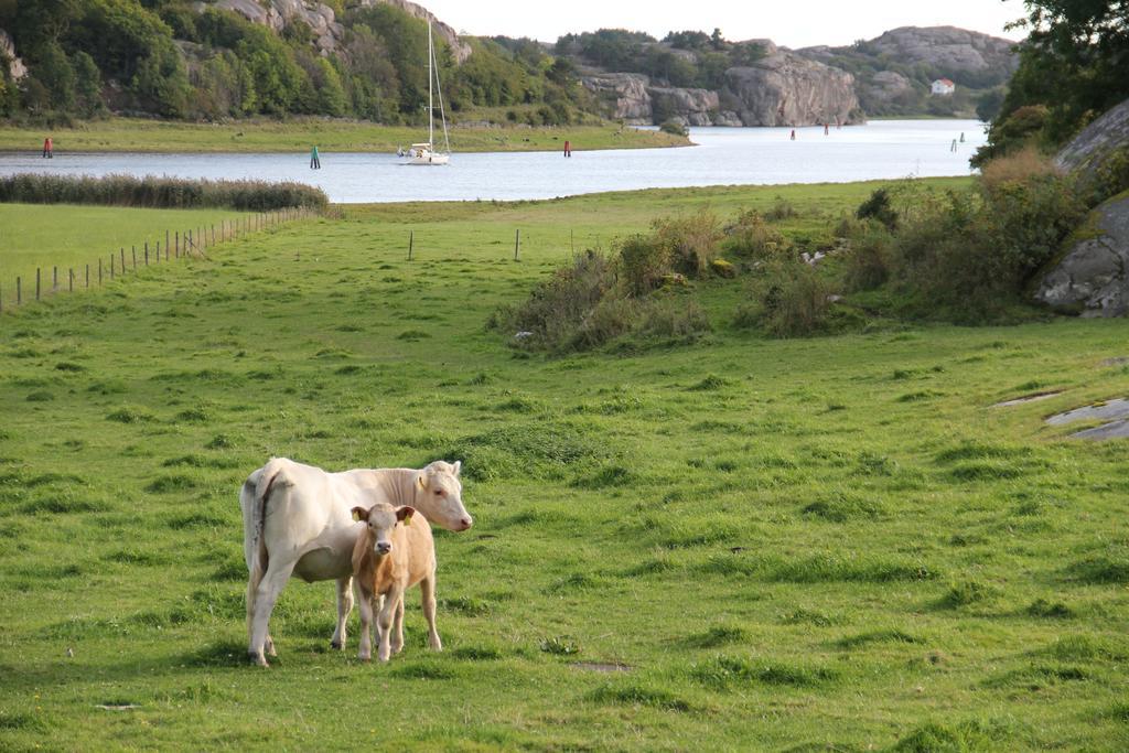 Ramsviks Overgard Pansiyon Hunnebostrand Dış mekan fotoğraf